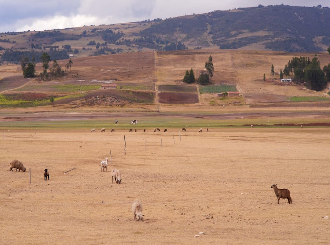 Creative Ideas for Your Toca Boca Masterpieces