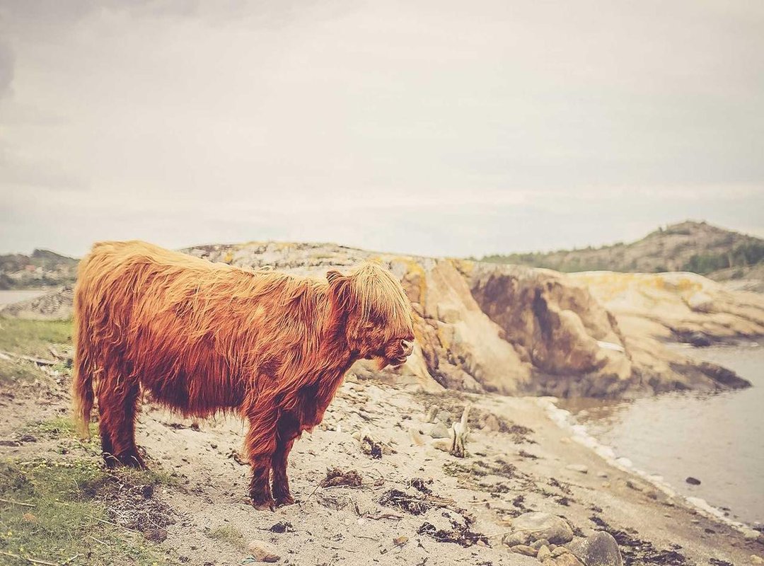 Nailing the Vibe: How to Create Aesthetic Fitness Photos