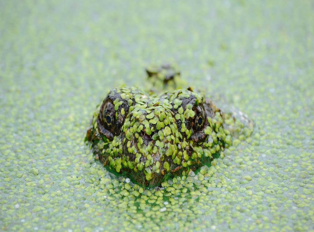 The Social Impact: Why You Should Use This Word with Caution