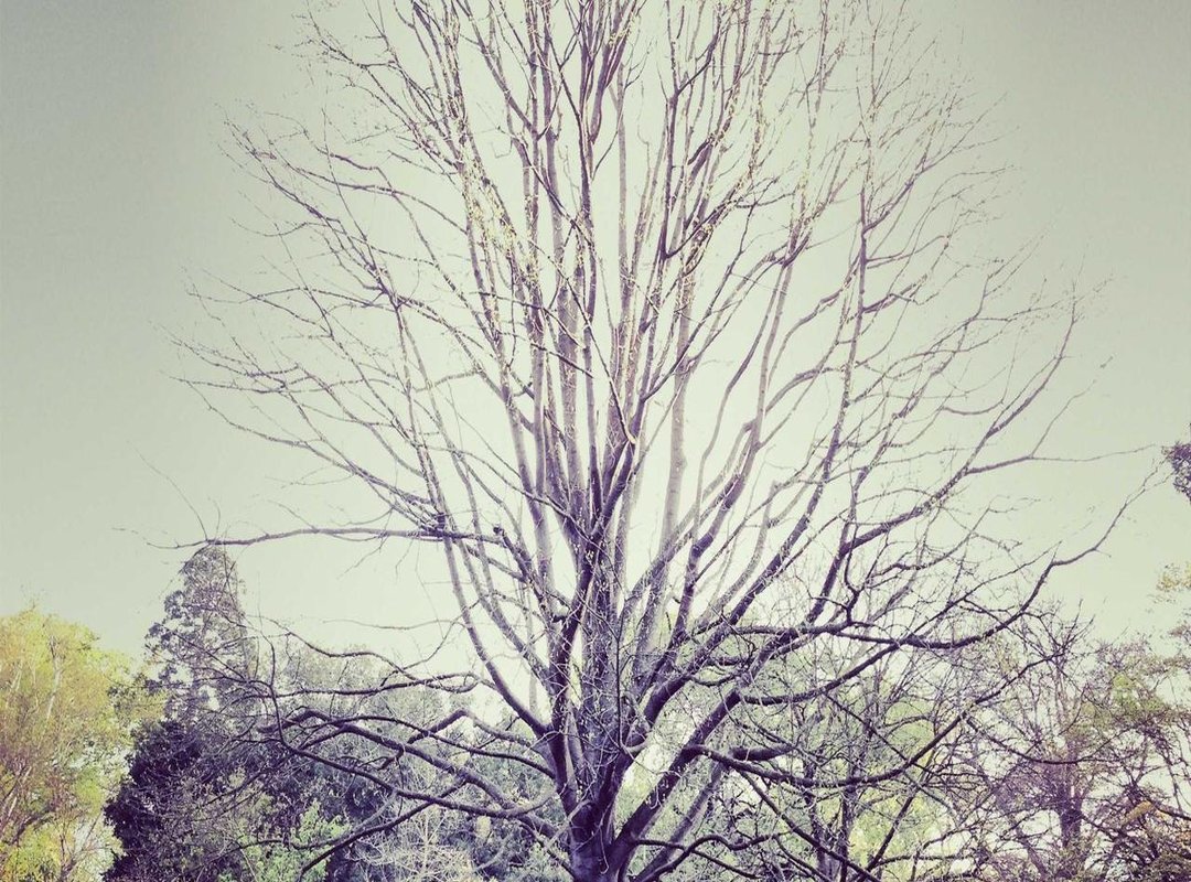 Packaging, Price, and Positioning: How Crafted Stands Out on the Shelf