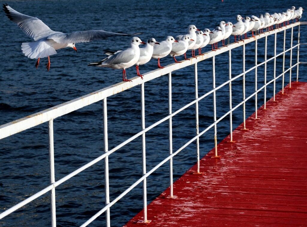 pixel art 32x32 memes