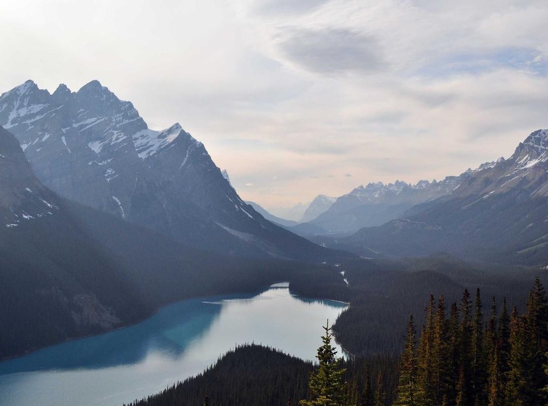 Step 4: Finalizing Your Drawing with Ink and Color