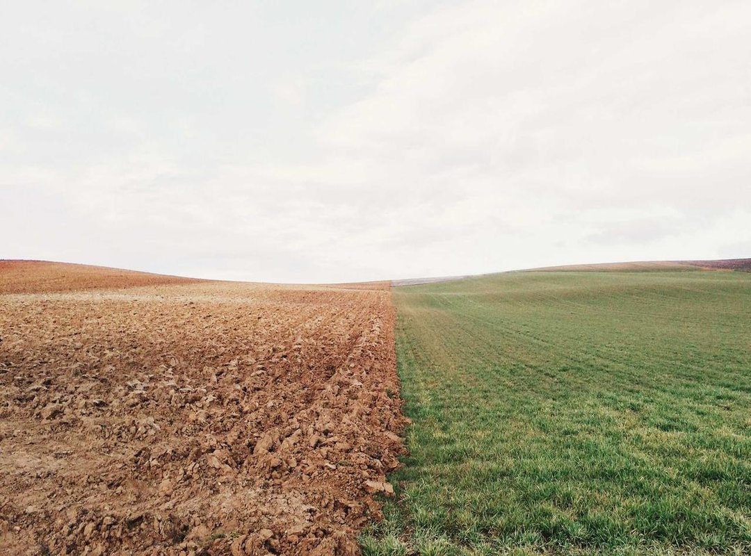 Deconstructing the Act: What Makes Tom the Mime's Style Unique?
