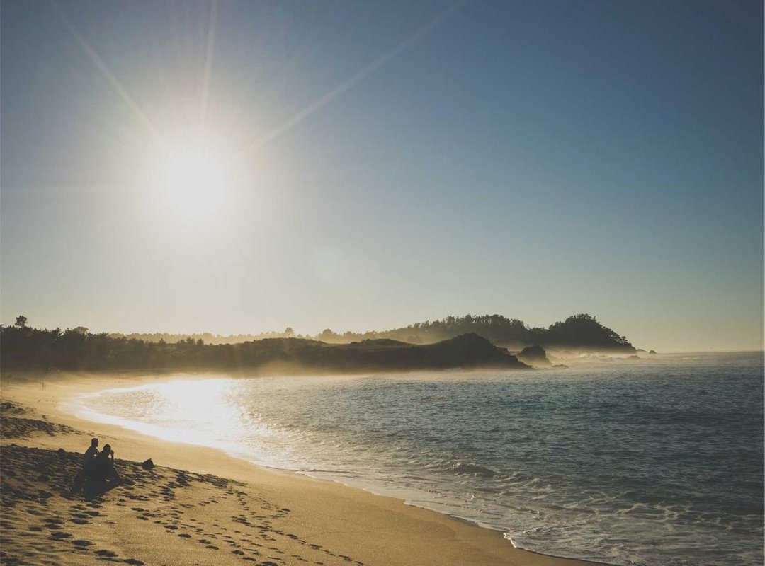 Frequently Asked Questions (FAQs)